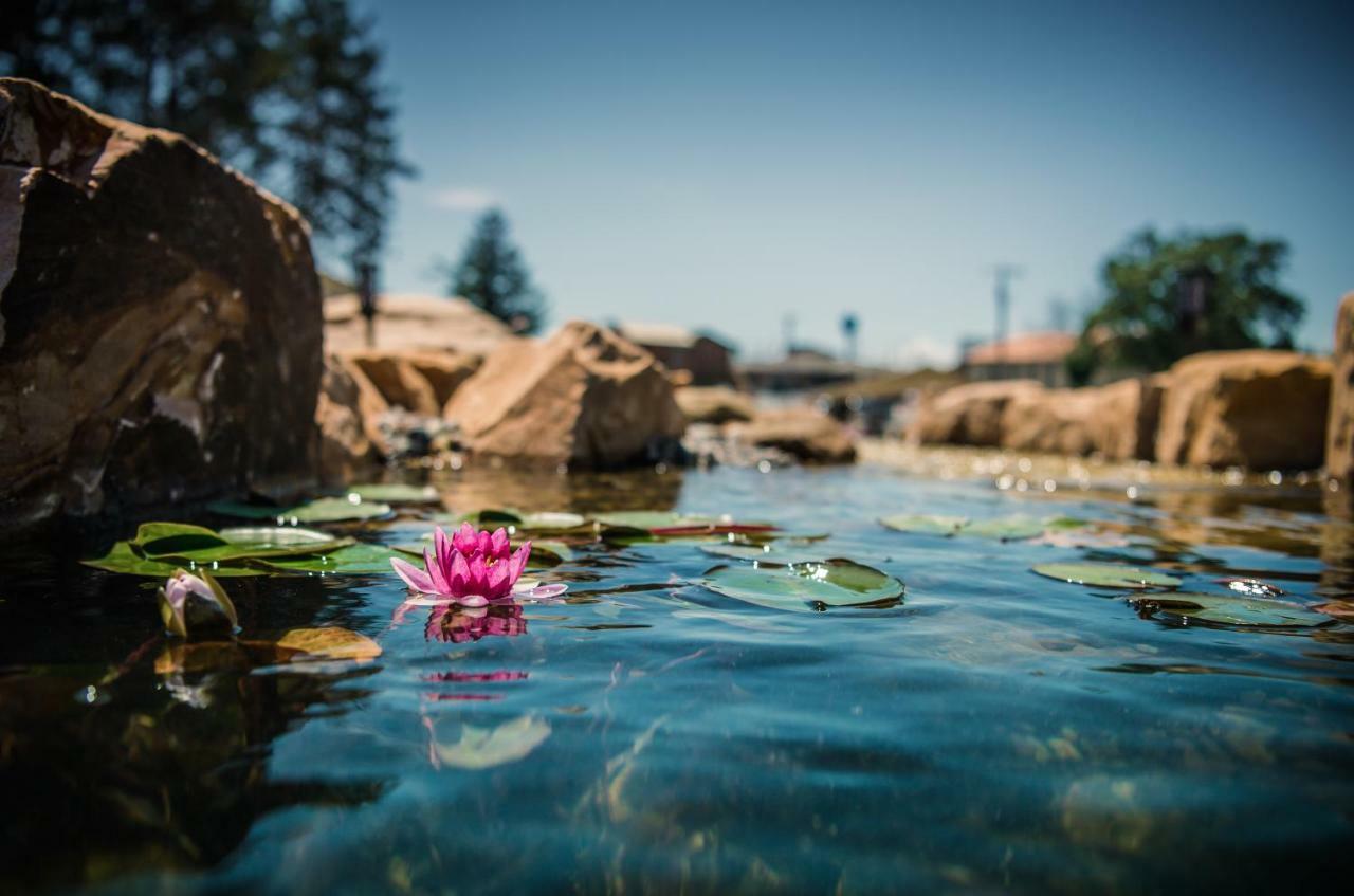 The Vue Boutique Hotel & Boathouse Wisconsin Dells Bagian luar foto